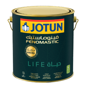 Fenomastic Wonderwall Life
