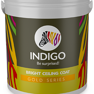 Bright Ceiling Coat