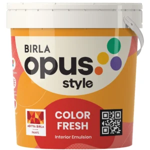 Style Color Fresh