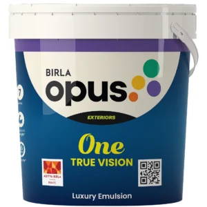 One True Vision