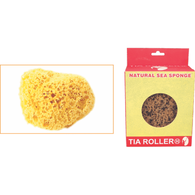 NATURAL SEA SPONGE-T0059