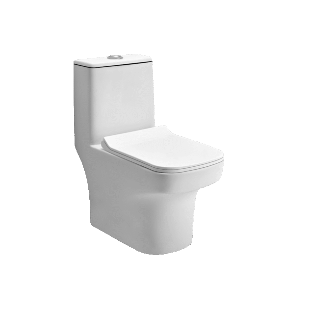 One Piece Toilets – 660 X 365 X 750 mm, Wall Distance – S 225 mm