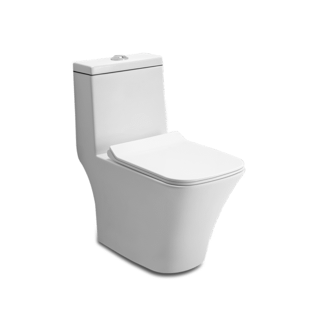 One Piece Toilets – 660 X 360 X 740 mm, Wall Distance – S 225 mm