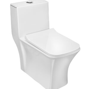 ASTER Single Piece WC