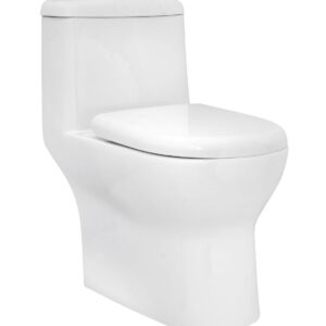 ATLAS Rimless Single Piece WC