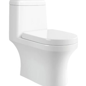 JOY Rimless Single Piece WC