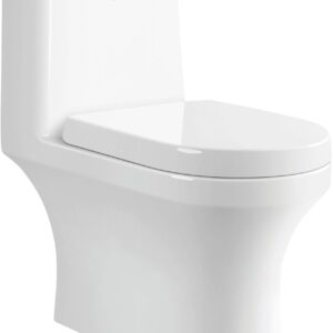 VIVA Rimless Single Piece WC